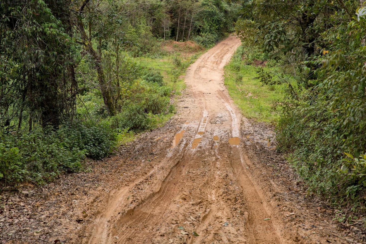 camino rural húmedo y fangoso en chiang mai, al norte de tailandia. pista sendero camino de barro en el bosque naturaleza paisaje rural. charco de arcilla marrón transporte en el país foto