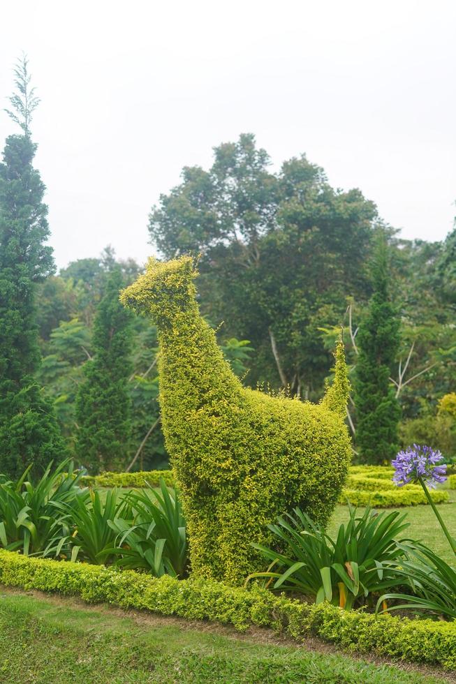 animal flowers garden park nature background premium photo