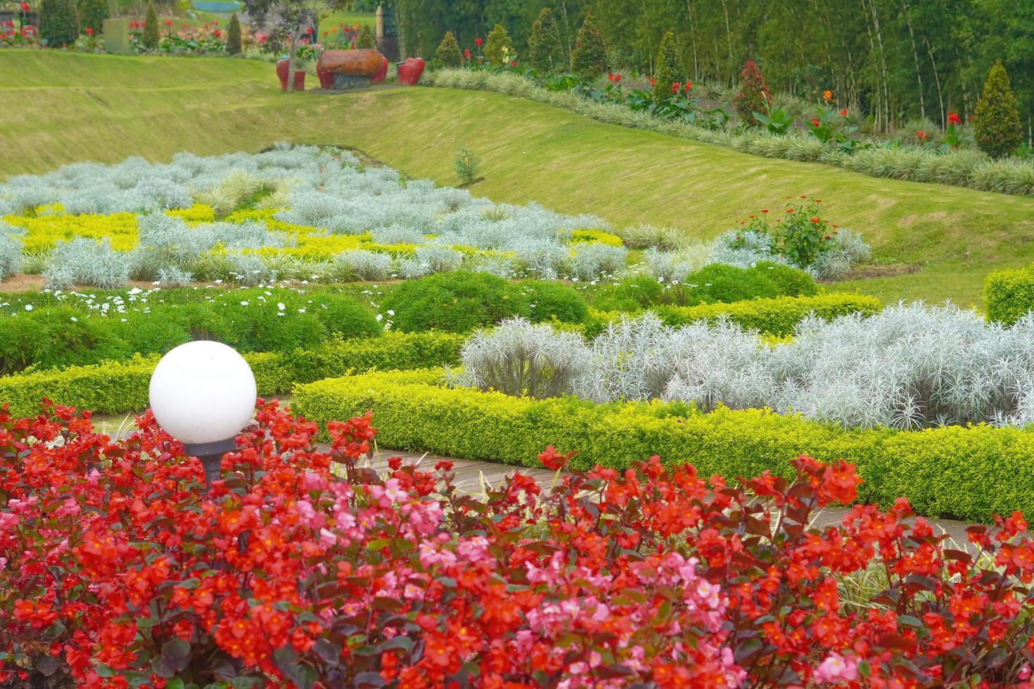 flores jardín parque naturaleza fondo foto premium