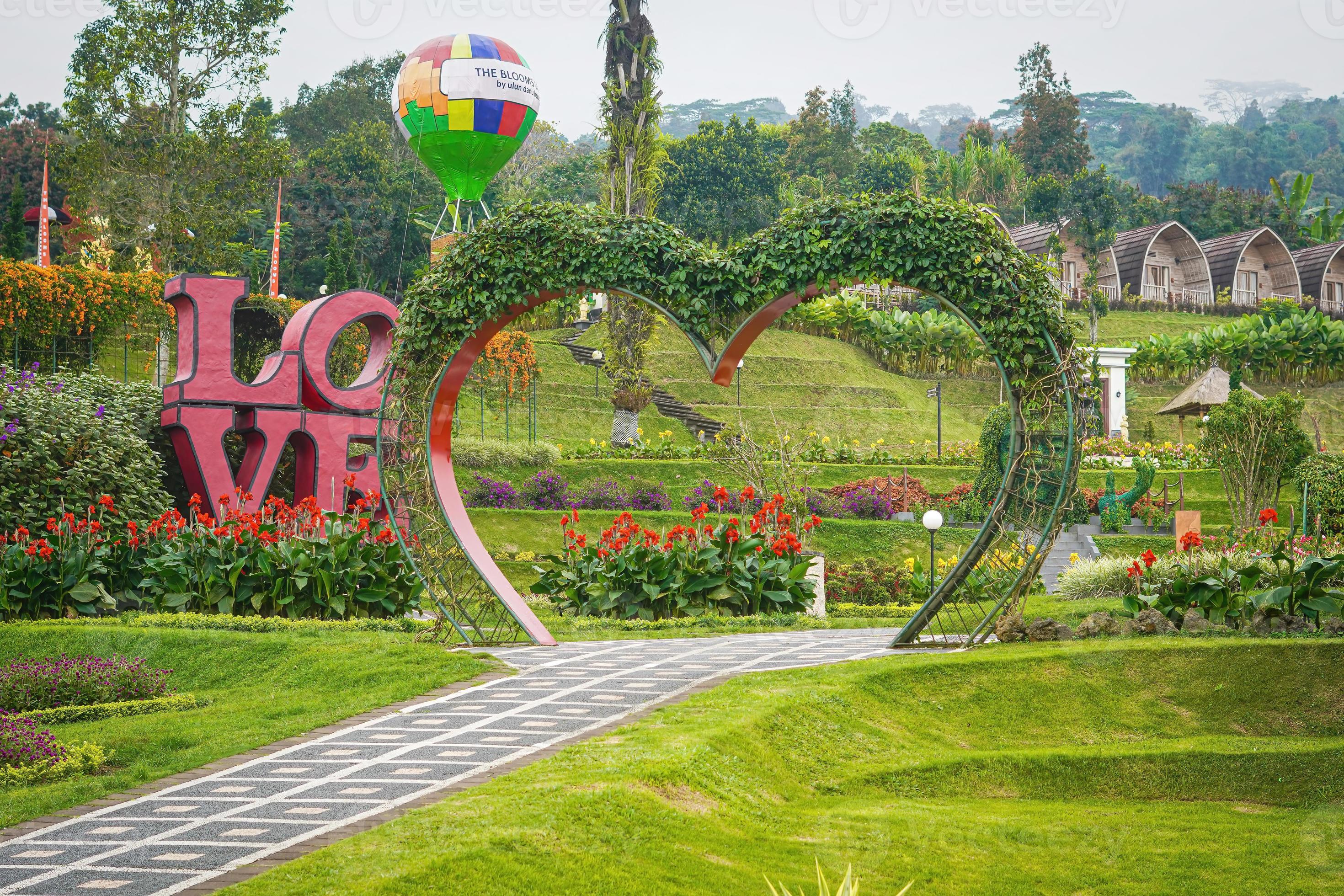 lovely flowers garden park premium photo 11249381 Stock Photo at Vecteezy