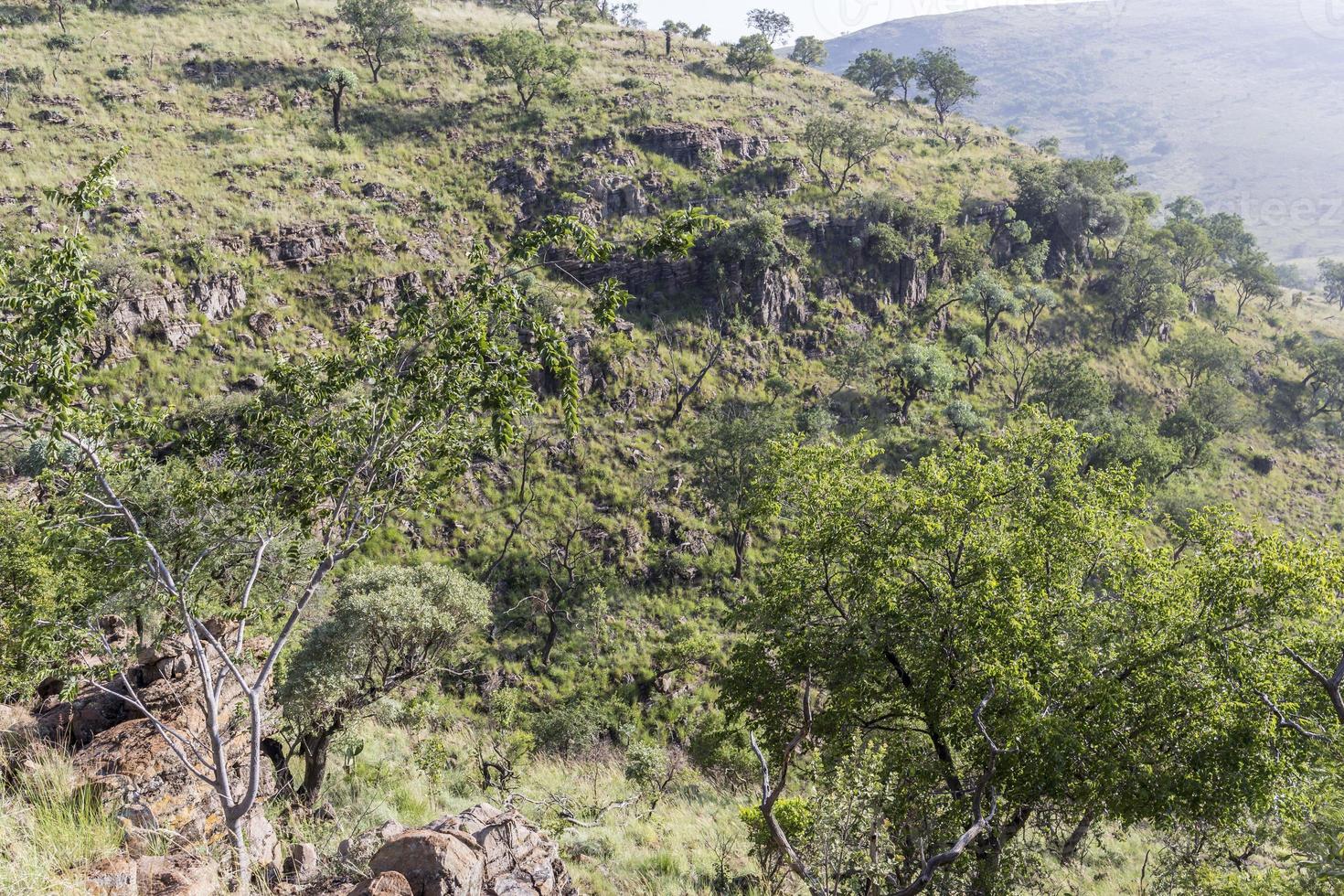 Landscape in the Highveld, South Africa photo