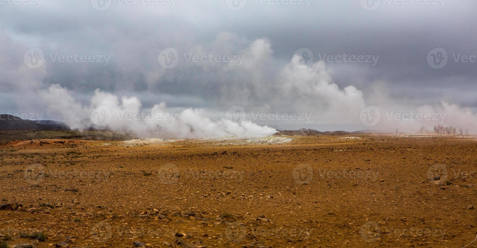 Picturesque landscape with green nature in Iceland during summer. Image with a very quiet and innocent nature. photo