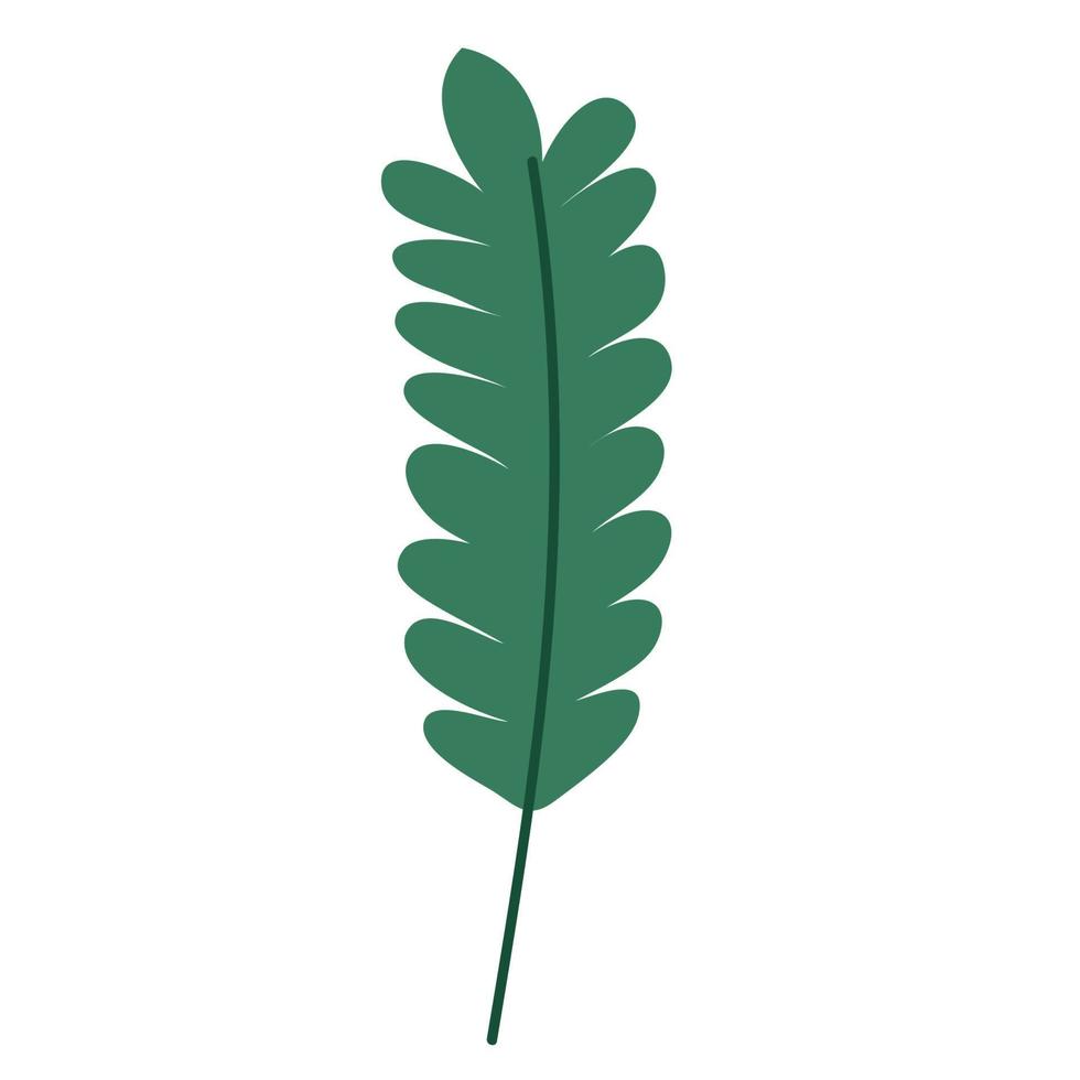leaf green foliage vector