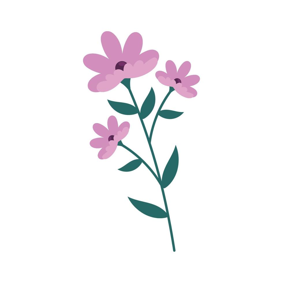 lilac flowers garden decoration vector