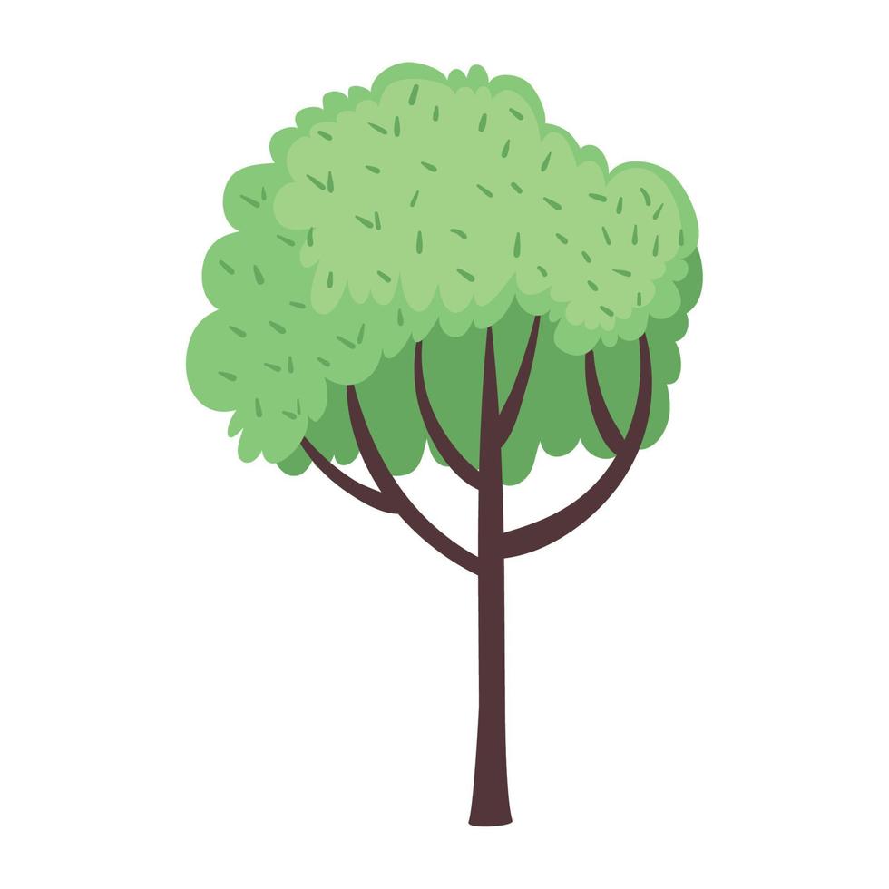 green tree plant 11250168 Vector Art at Vecteezy