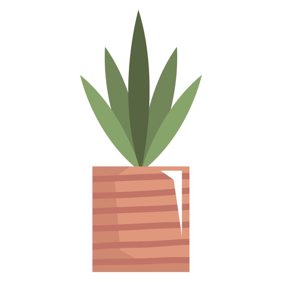 houseplant in pot vector