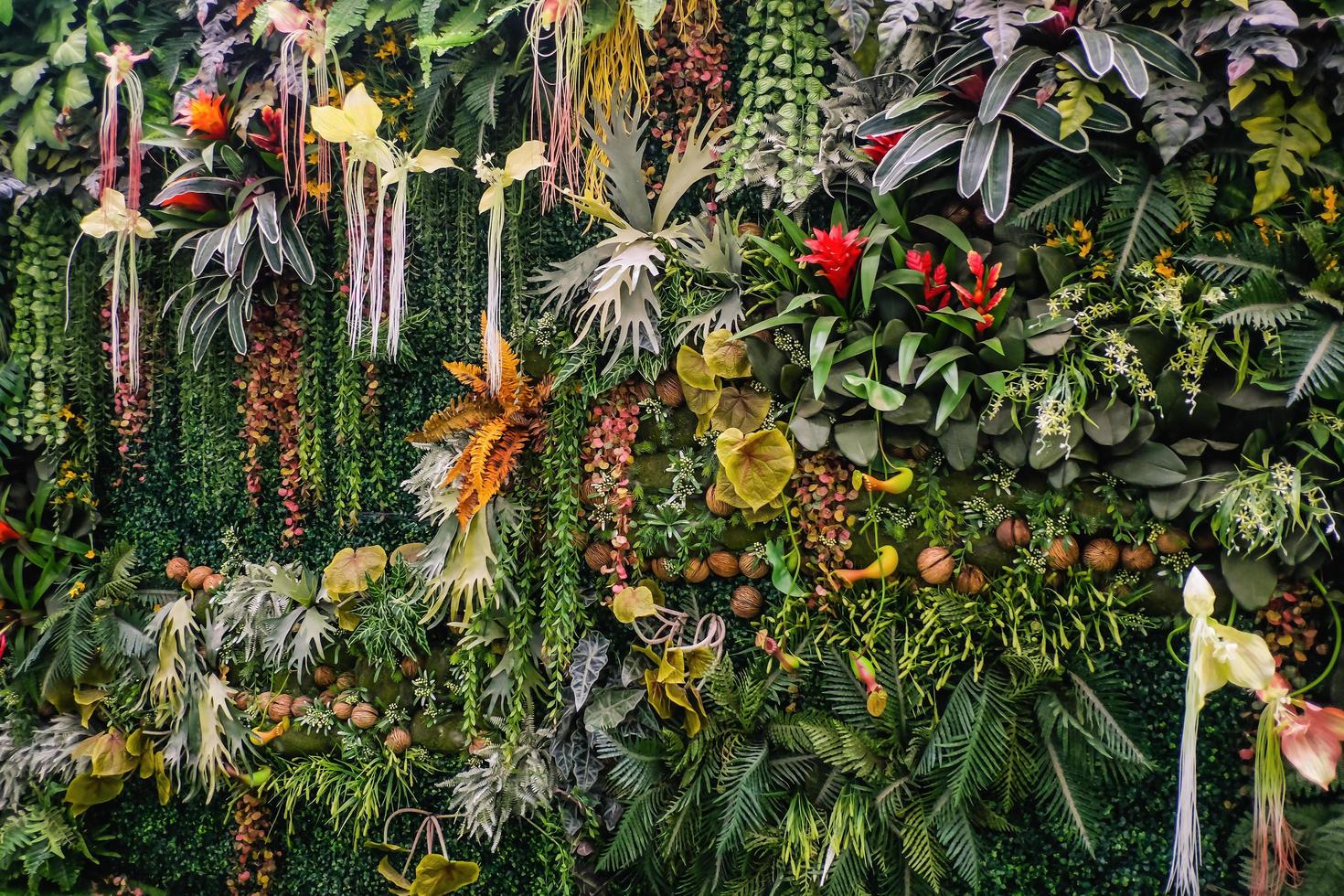 Inside of Natural science museum in Queen Sirikit botanic garden at chiang mai city Thailand photo