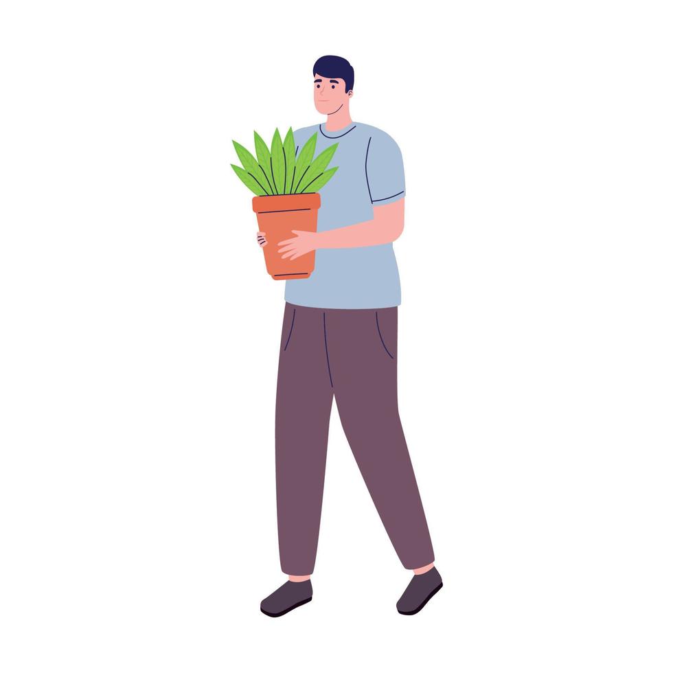 man lifting houseplant vector