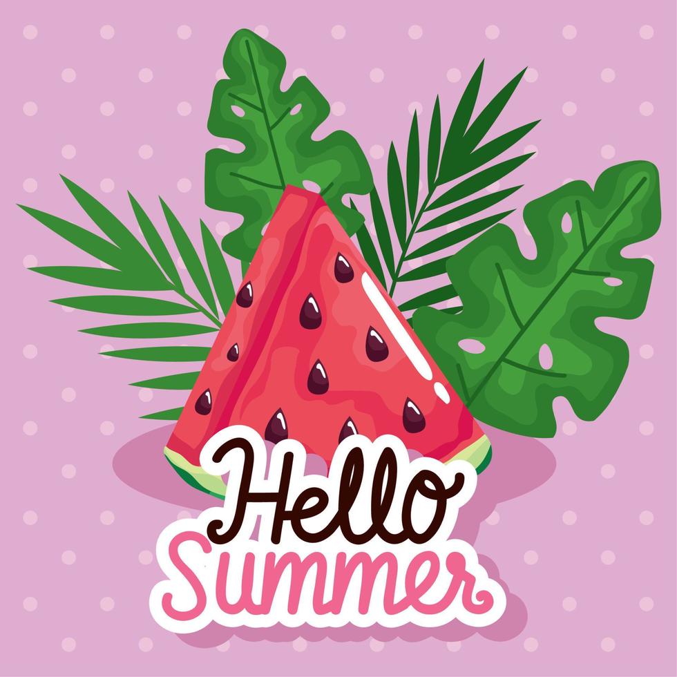 hello summer celebration vector