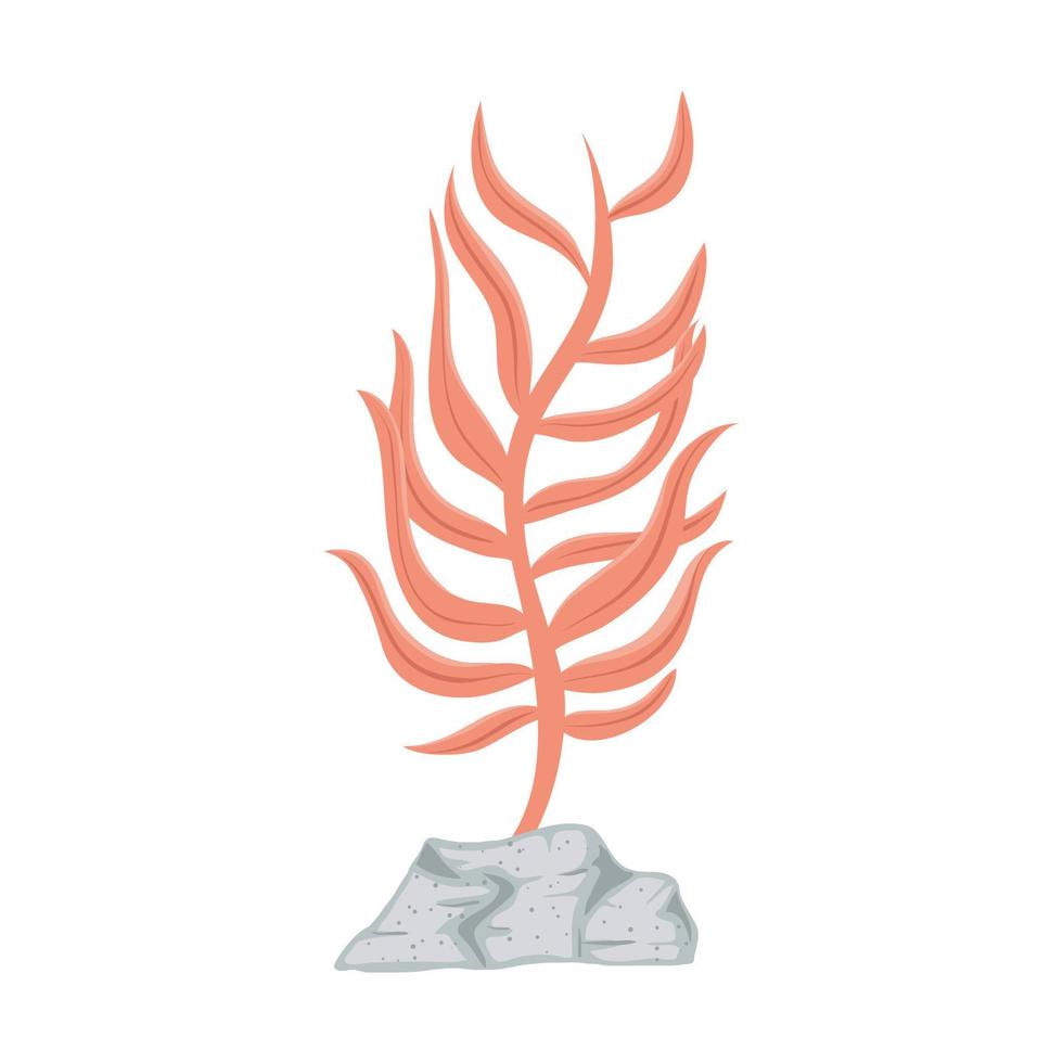 orange seaweed plant vector