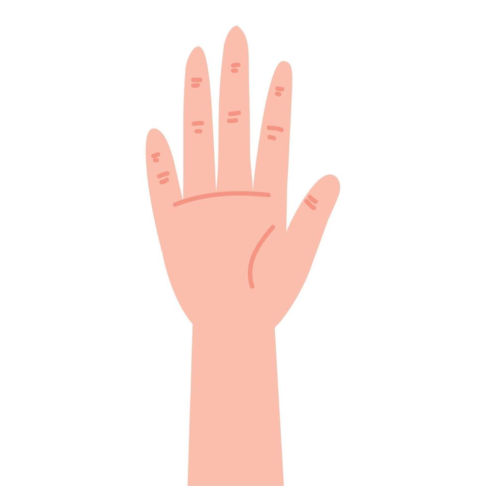 hand human up open vector