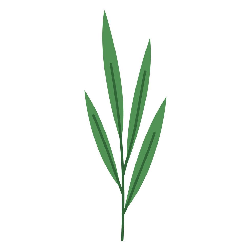 branch with leafs green vector