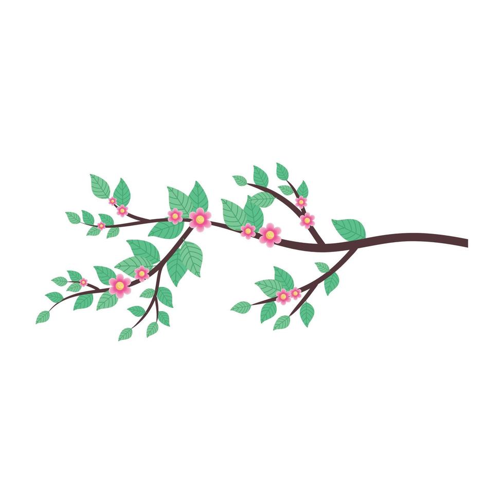 branches with pink flowers vector