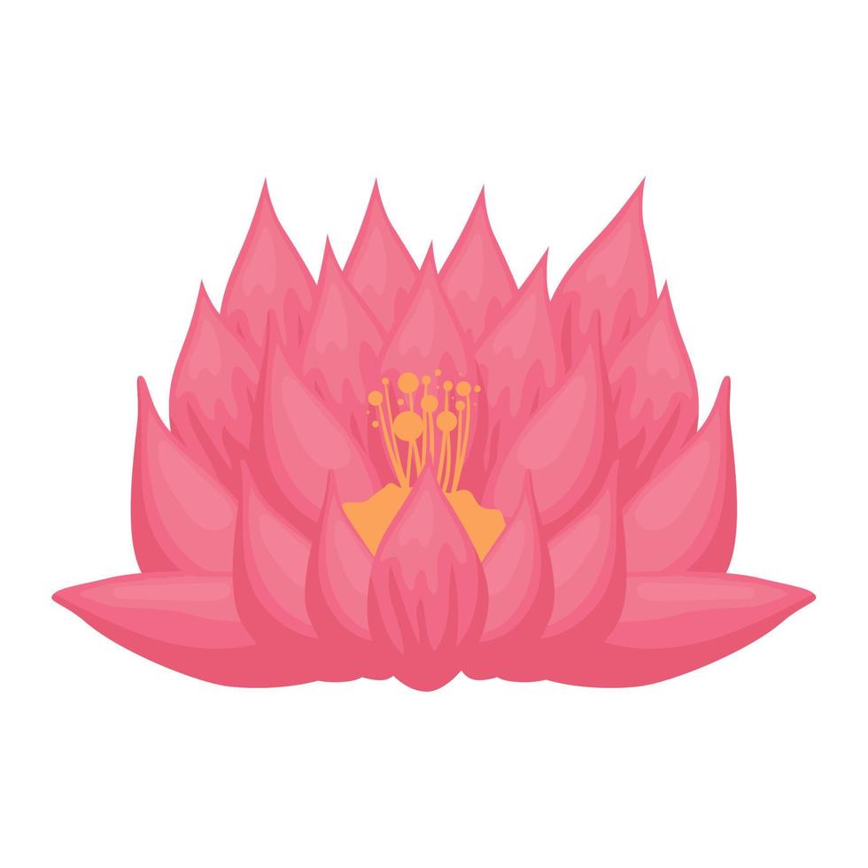 pink lotus flower vector