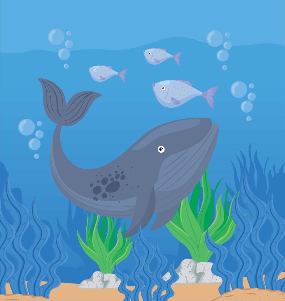 whale fish swiming undersea vector