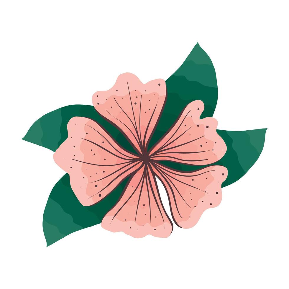 pink flower and leafs vector