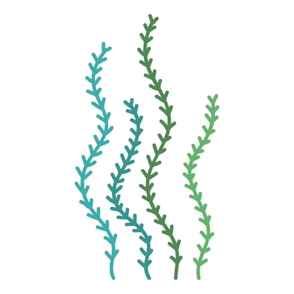 seaweed nature algaes vector