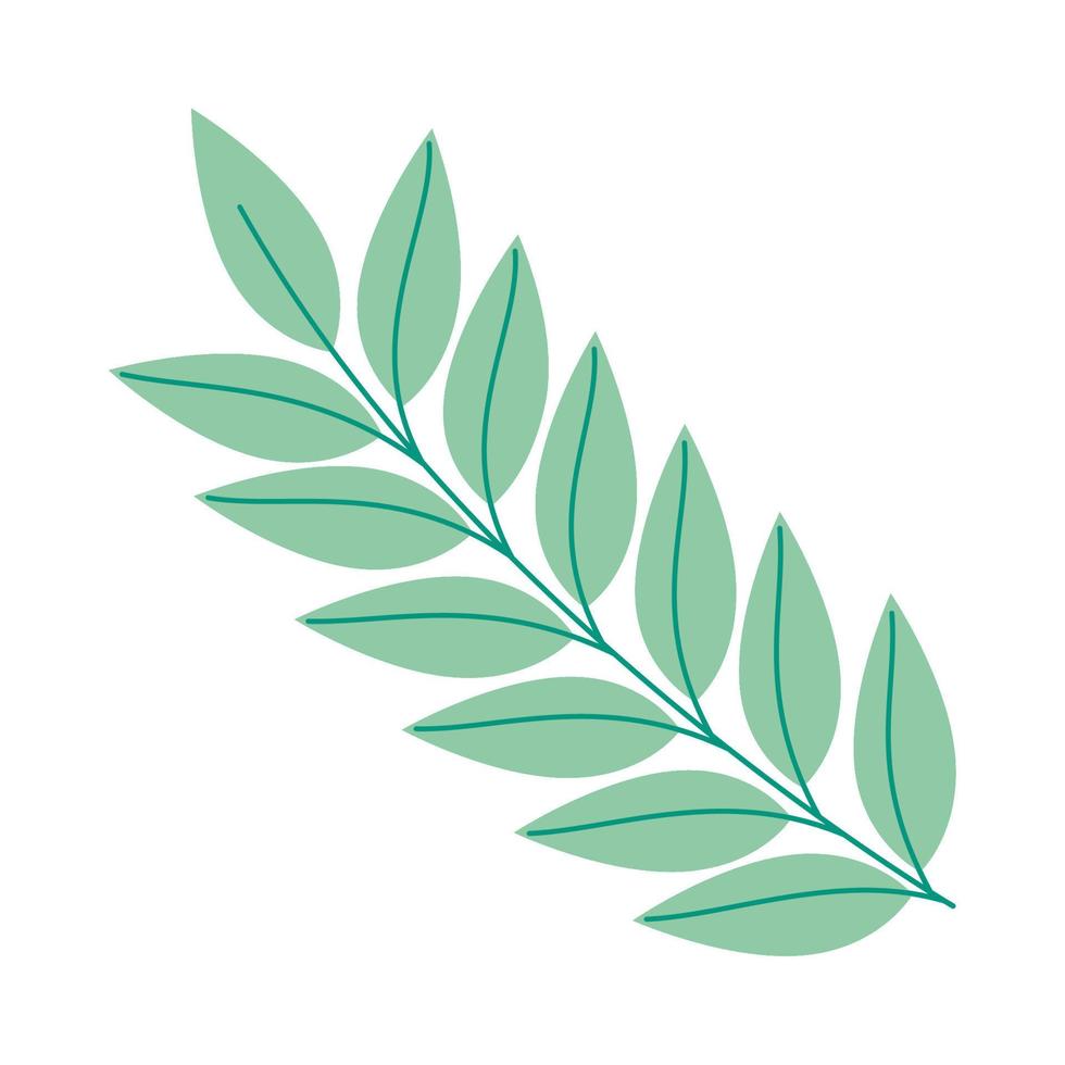 leaves in green branch vector