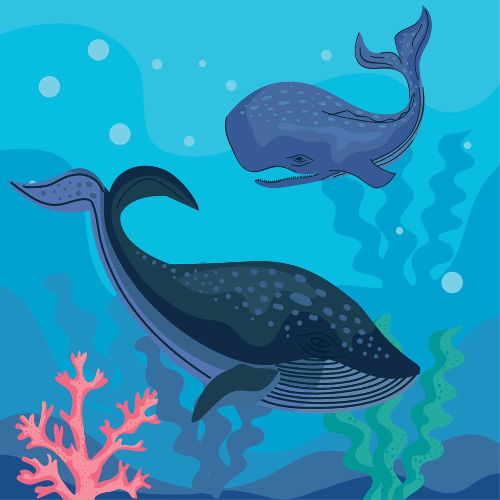 two whales swiming animals vector