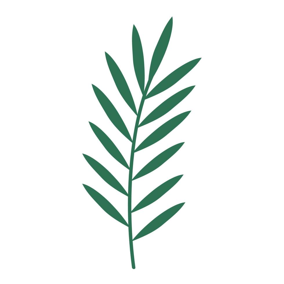 tropical branch with leafs vector