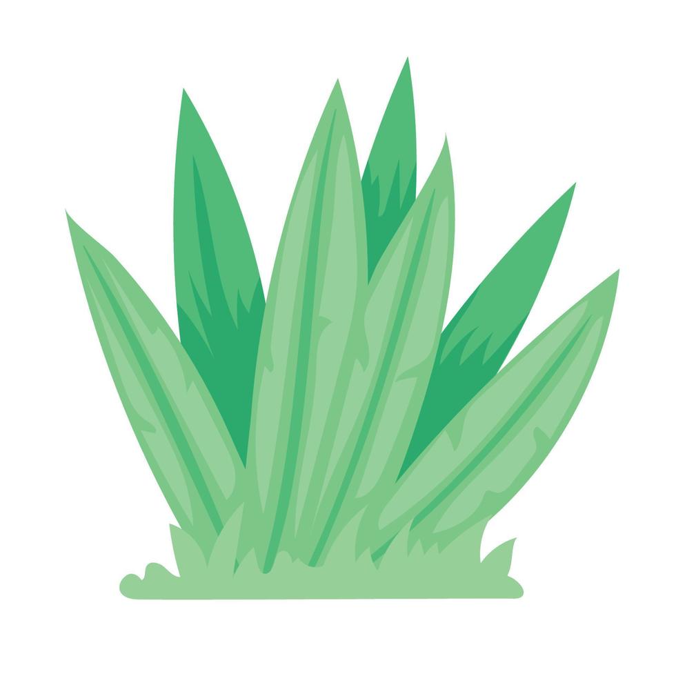 green garden bush vector