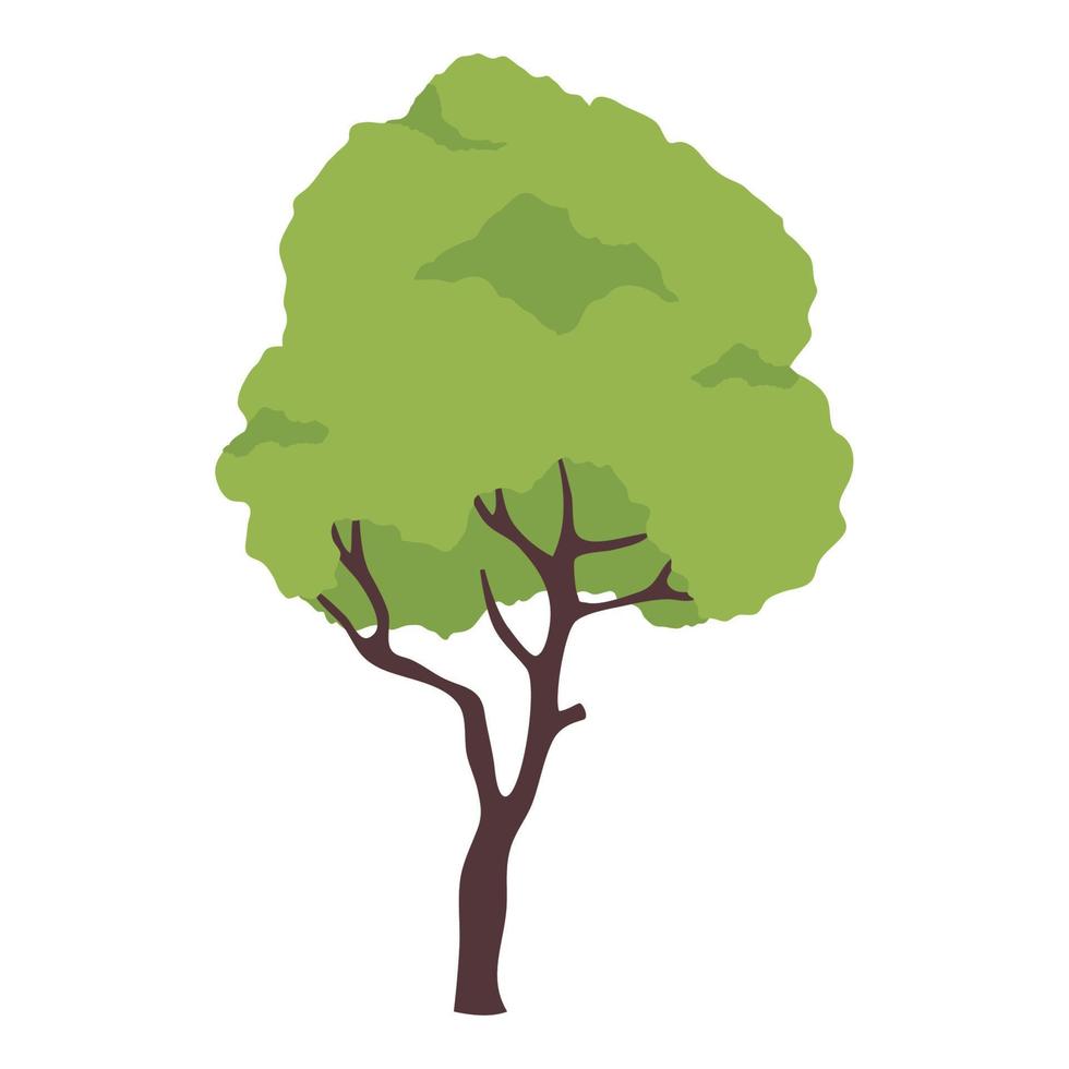 tree plant forest vector