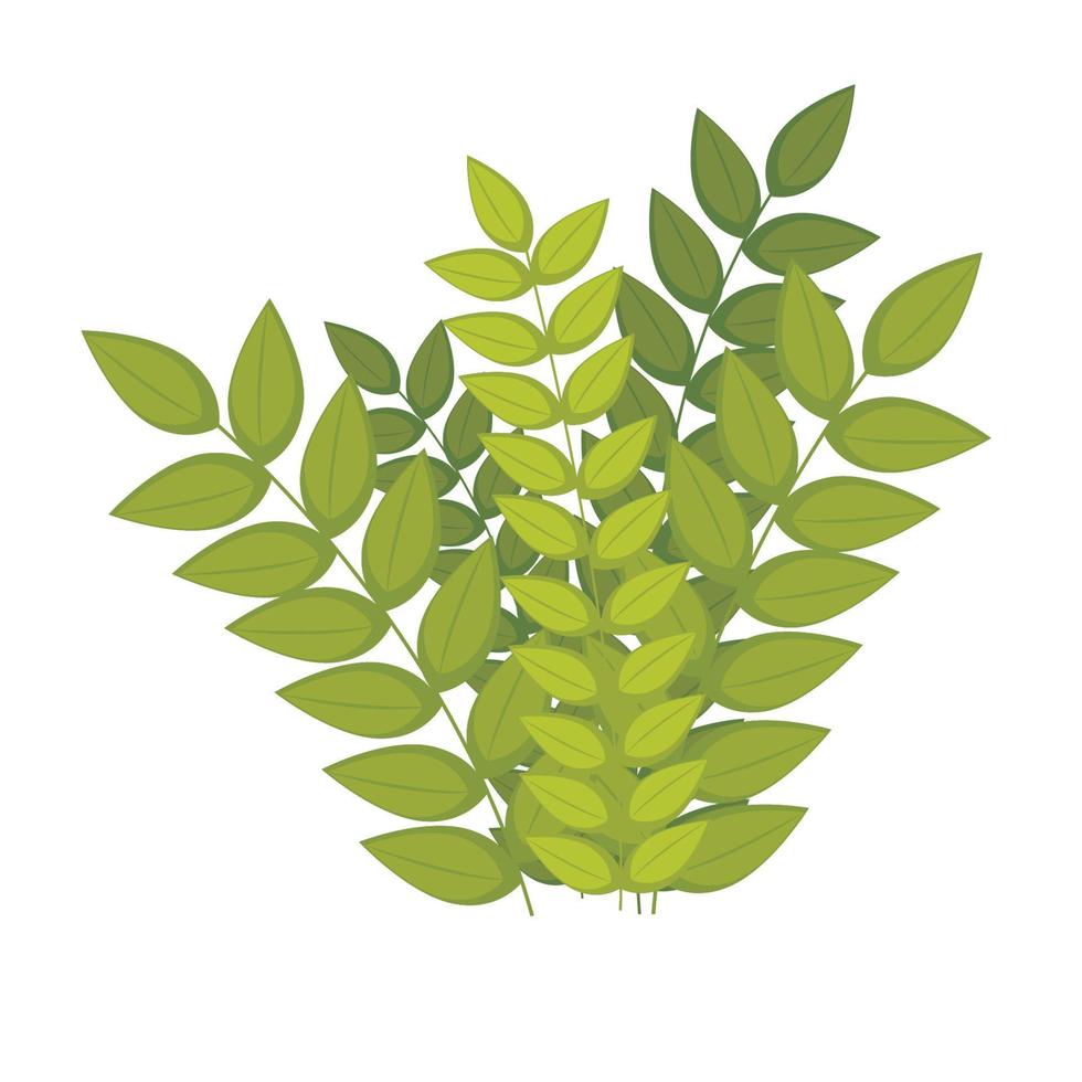 branches with leafs vector