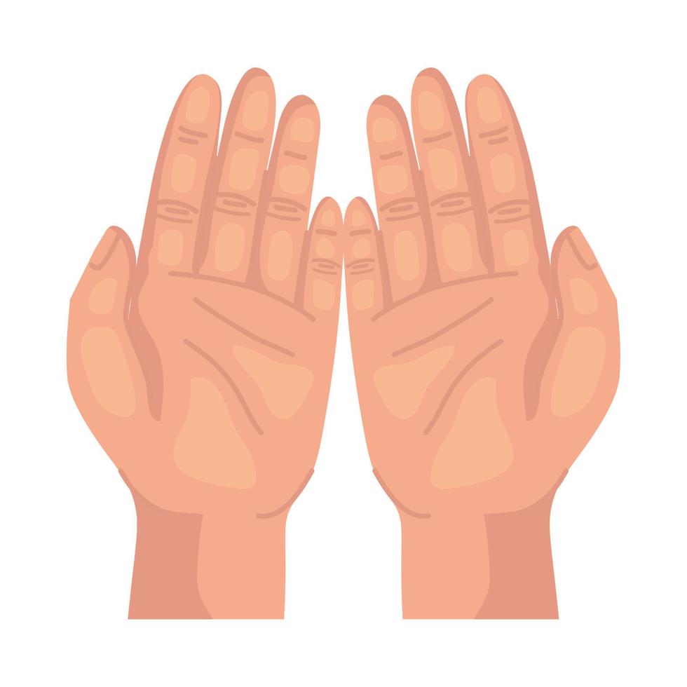 hands human praying vector