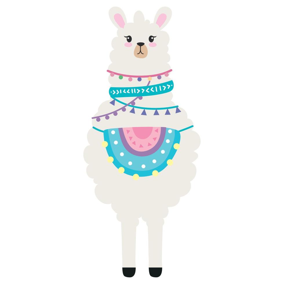 llama front wild animal vector