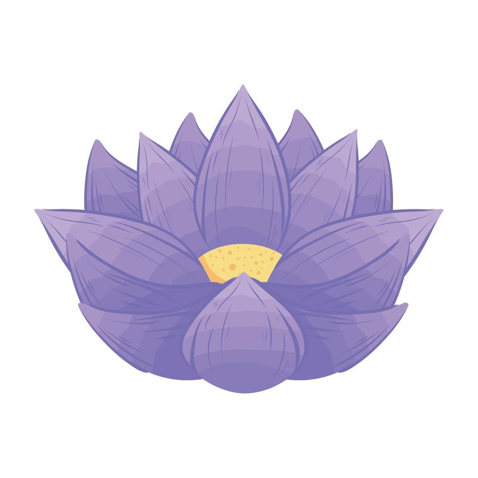 purple lotus flower vector