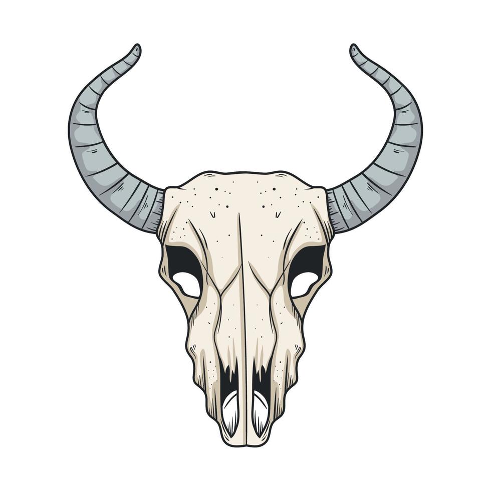 head cow skull vector