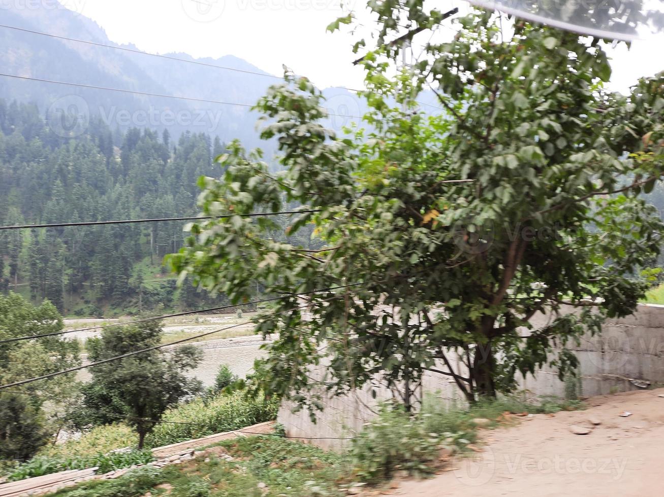 Kashmir is the most beautiful region in the world which is famous for its green valleys, beautiful trees, high mountains and flowing springs. photo