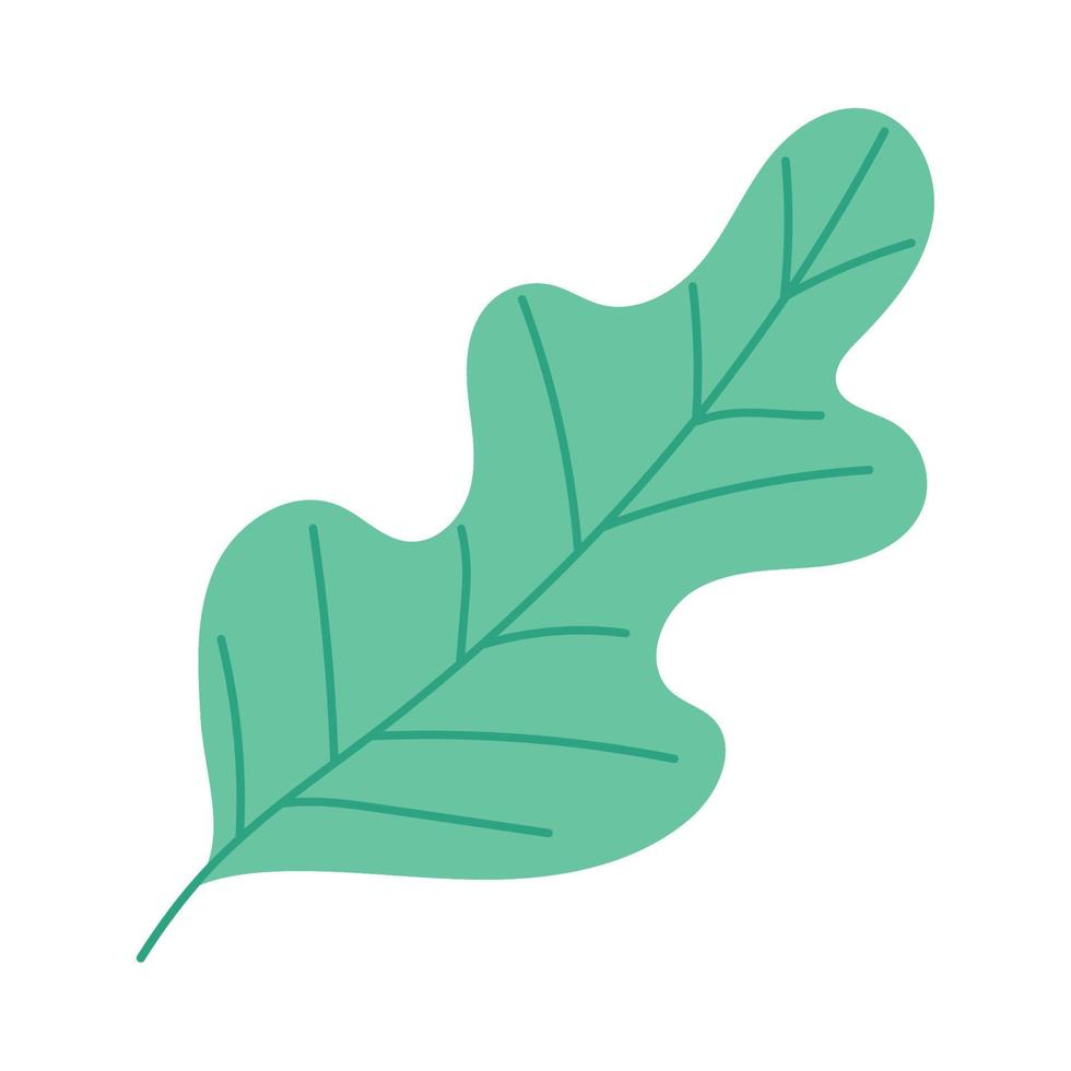 ecology leaf plant vector