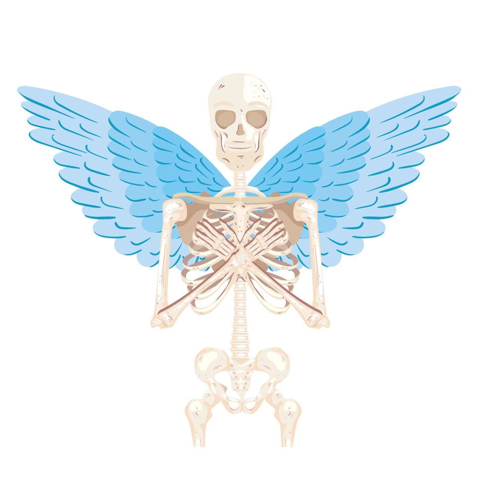 skeleton with wings vector