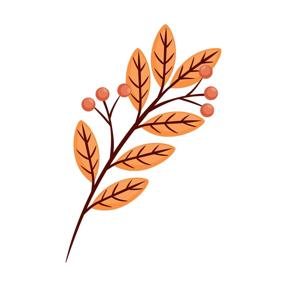 branch with autumn leafs vector