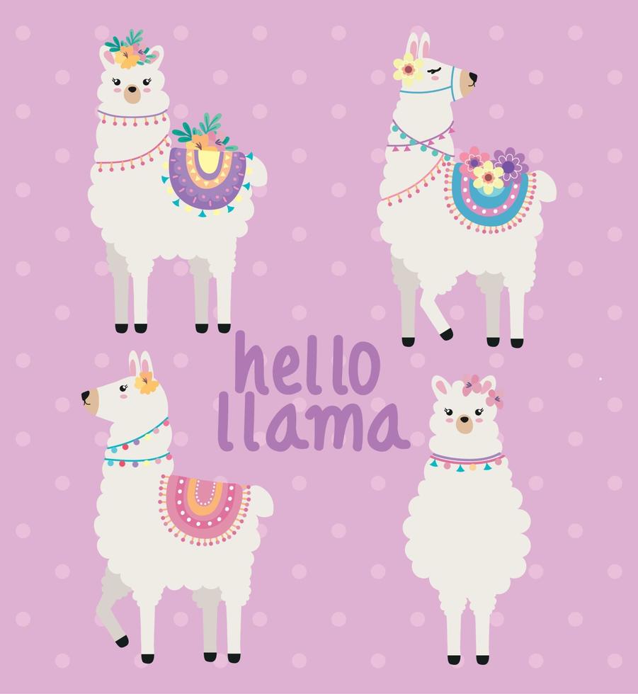 hola llama con animales vector