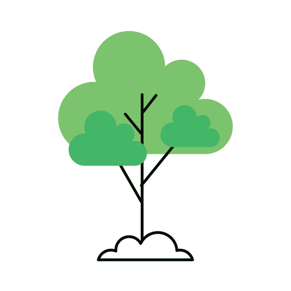 árbol verde bosque planta vector