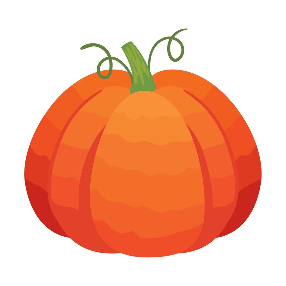 pumpkin autumn season vector