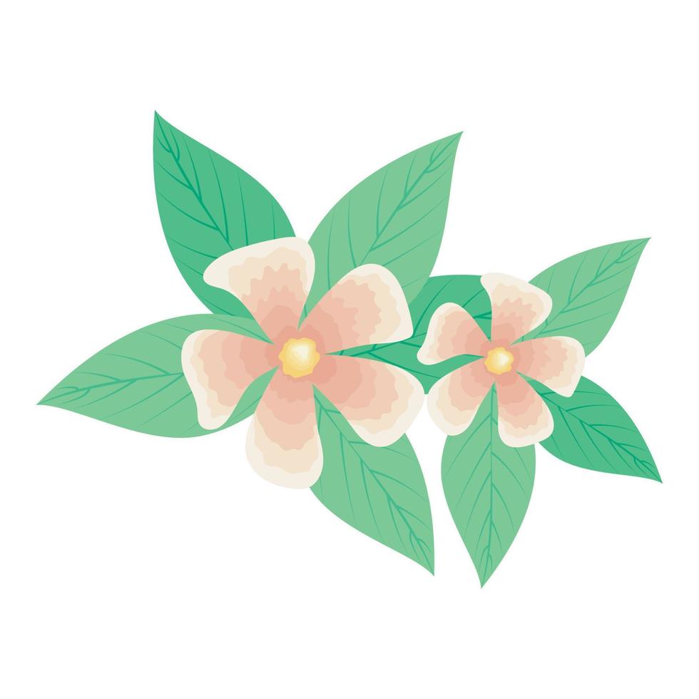 pink flowers and leaves vector
