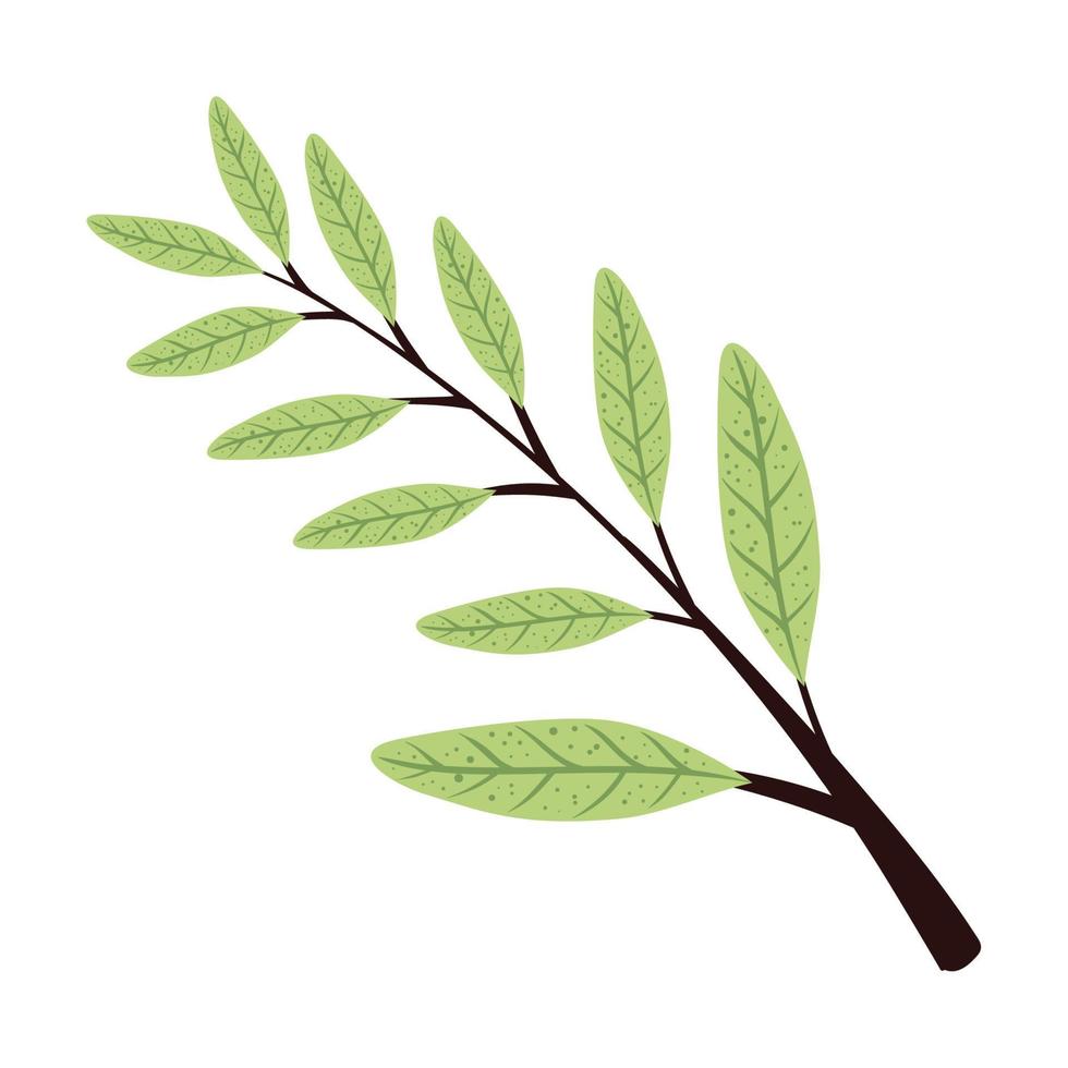 green branch with leafs foliage vector