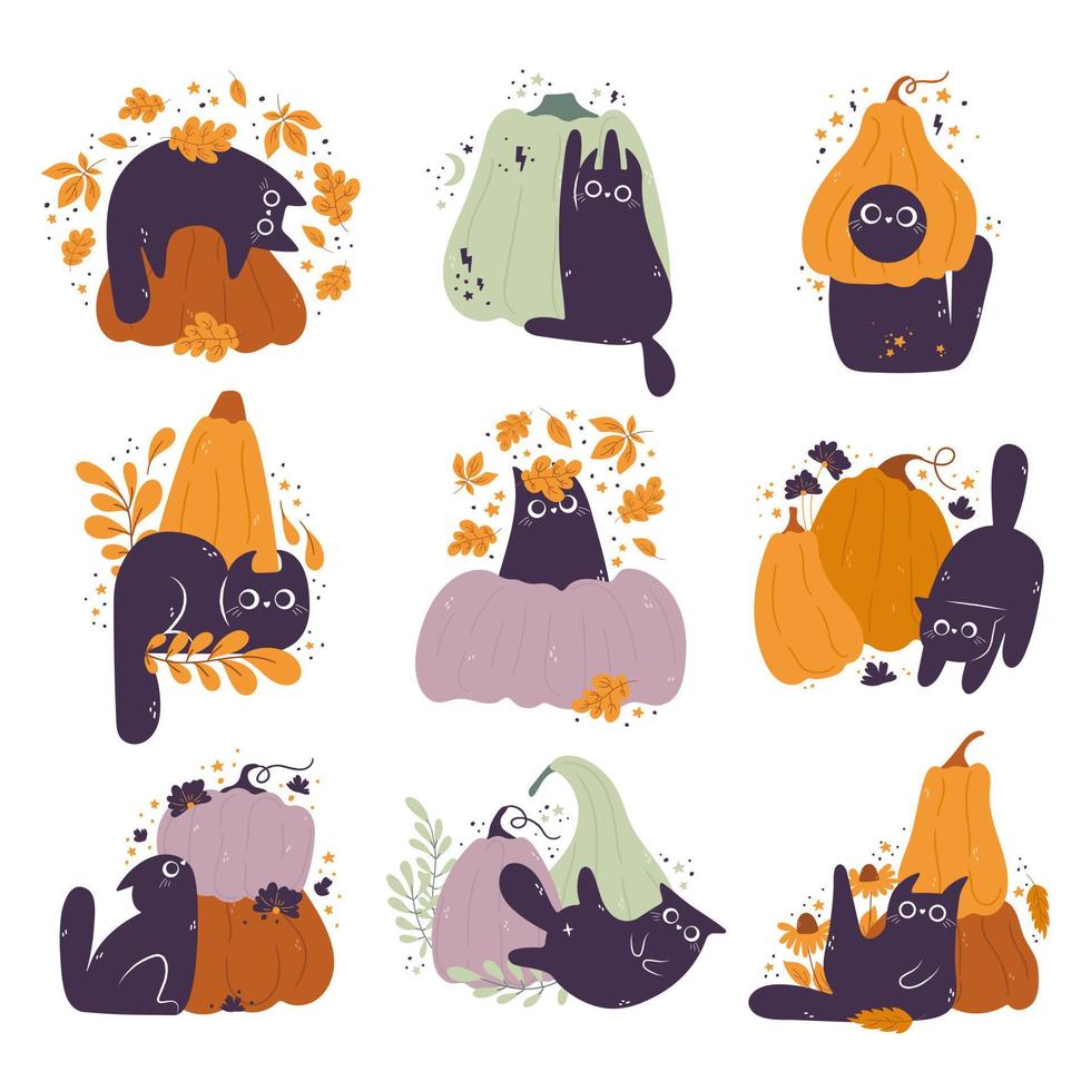 gatos y calabazas con personajes de dibujos animados con hojas y flores. composición vectorial aislada para otoño, cosecha agrícola, acción de gracias o diseños de halloween vector