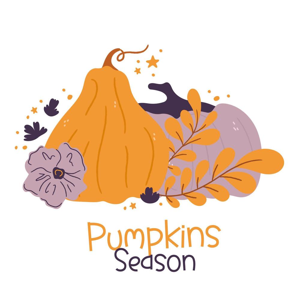 Pumpkins cartoon compositions with leaves and flowers. Pumpkin  isolated vector composition for autumn fall, agricultural harvest, Thanksgiving or Halloween designs