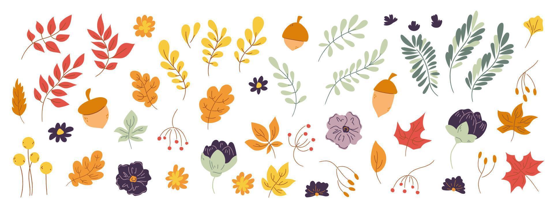 ig doodle set of hand drawn autumn floral design elements. Fall elements leaves, flowers on white background for autumn fall, agricultural harvest, Thanksgiving or Halloween designs vector