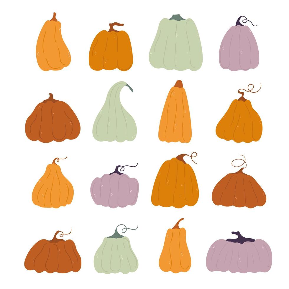 Pumpkins vegetable cartoon icons with leaves and flowers. Pumpkin of various shapes and colors isolated vector for autumn fall, agricultural harvest, Thanksgiving or Halloween designs