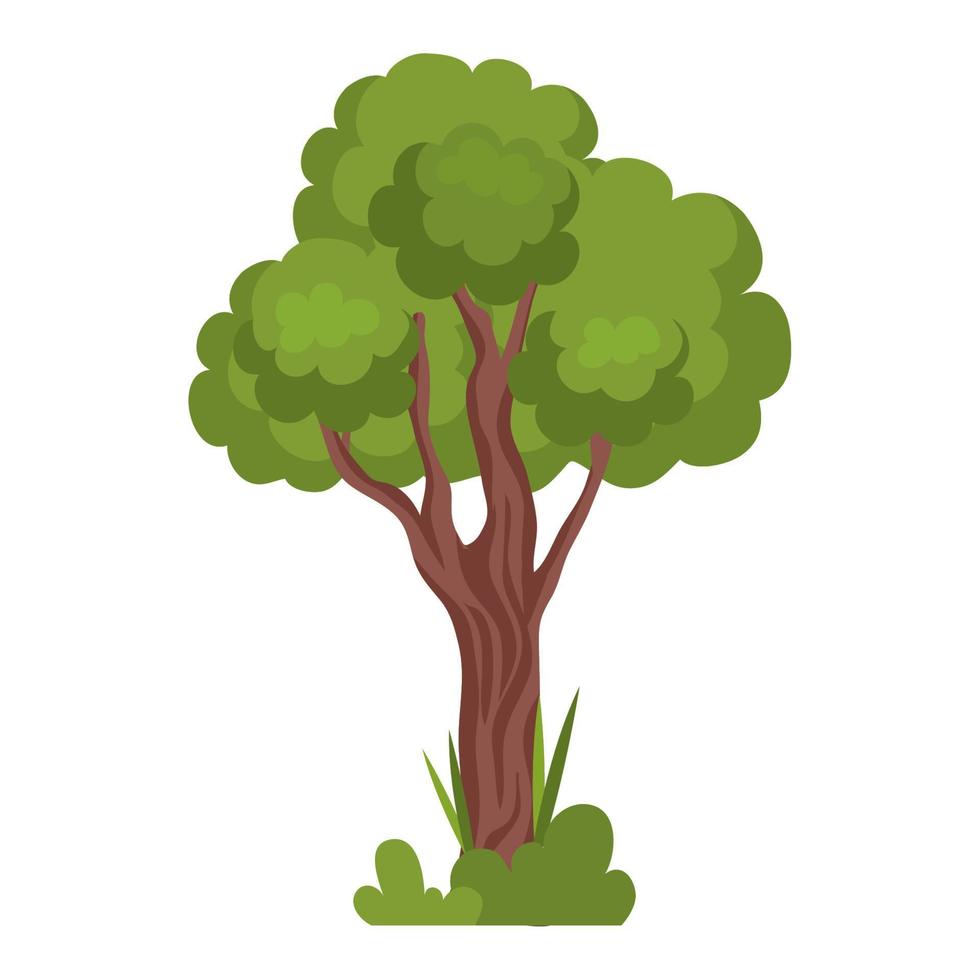 planta de árbol y arbusto vector