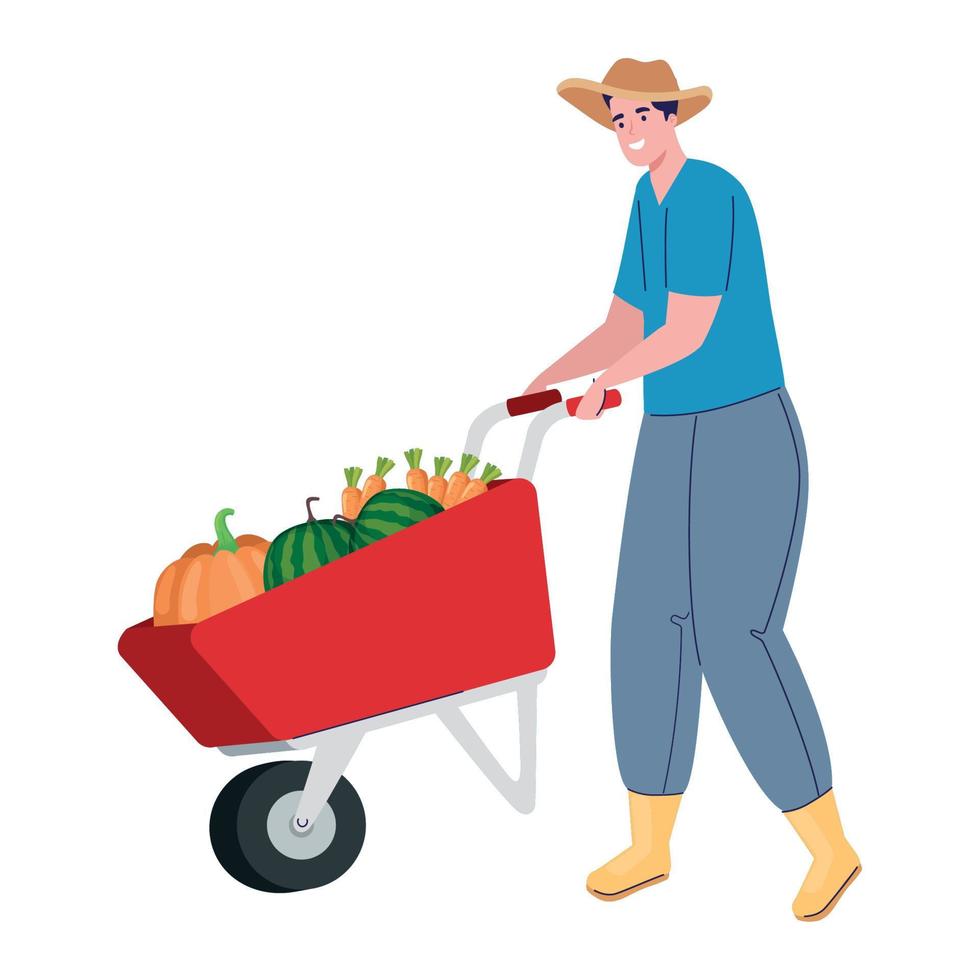 farmer with vegetables vector