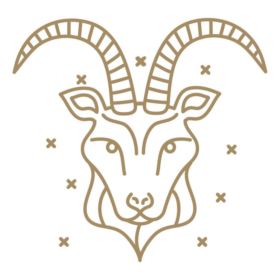 capricornio astrología signo del zodiaco vector