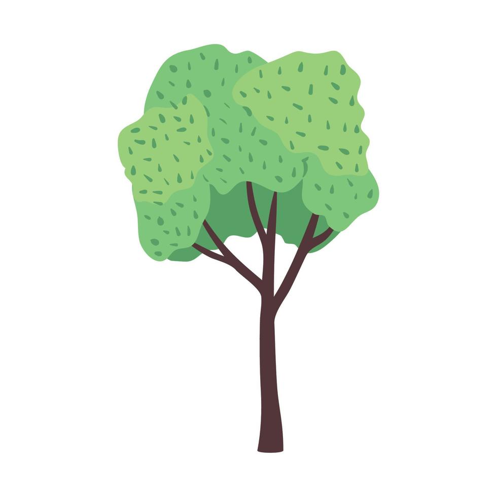 árbol del bosque planta vector