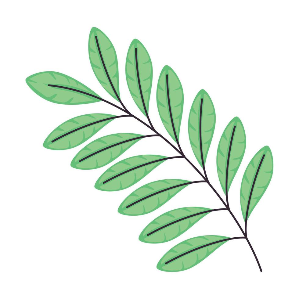 rama con hojas verdes vector
