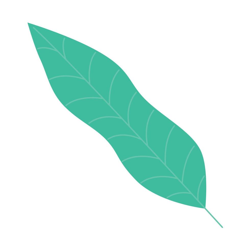 green leave nature vector
